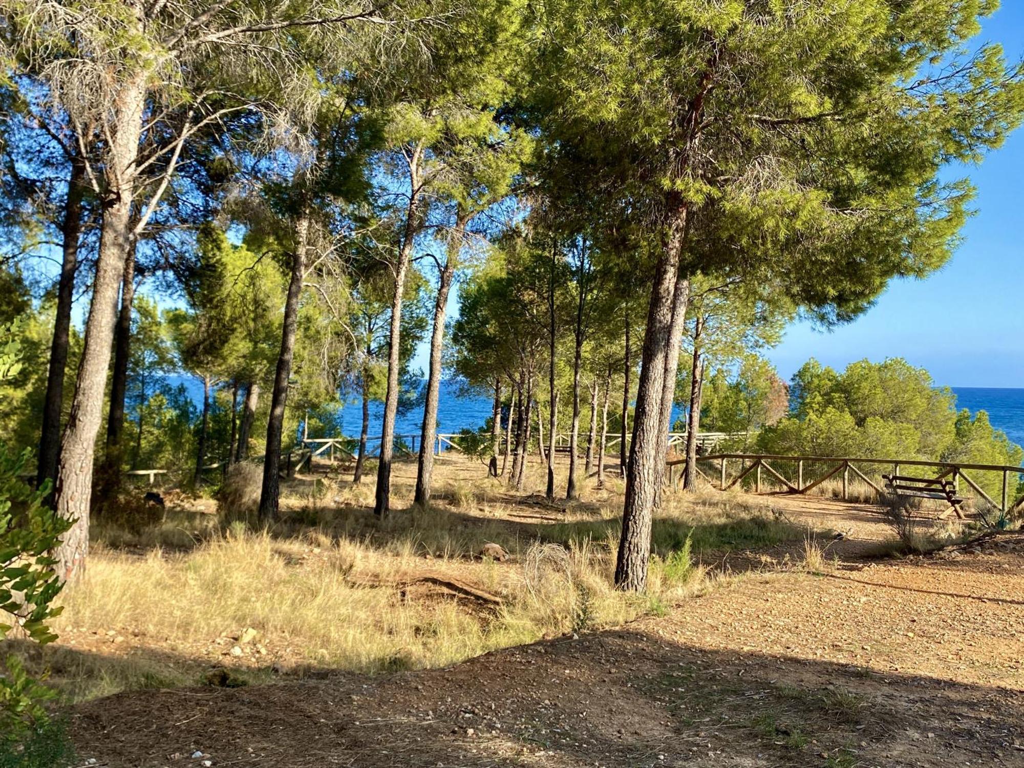 דירות Terrace Isla De אלתיאה מראה חיצוני תמונה